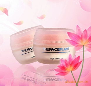 家居日用品 生活品質(zhì)的無(wú)聲守護(hù)者